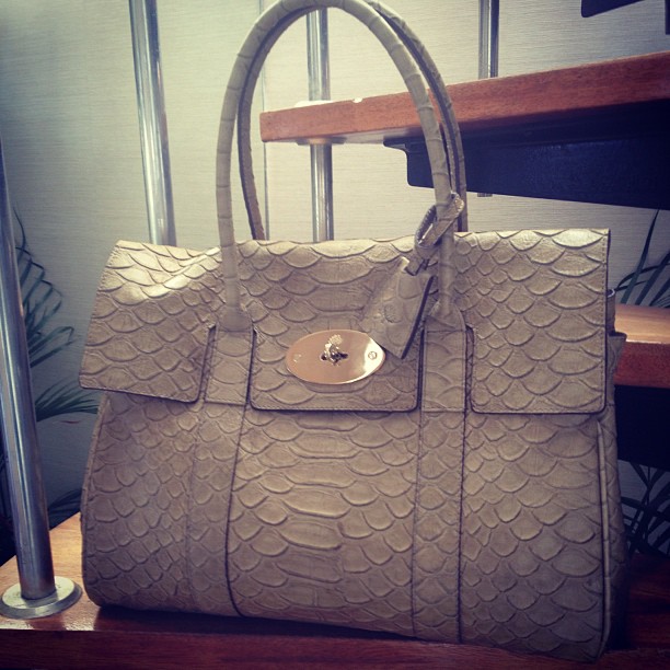 mulberry snakeskin bag