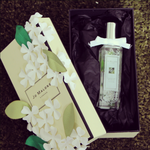 osmanthus jo malone